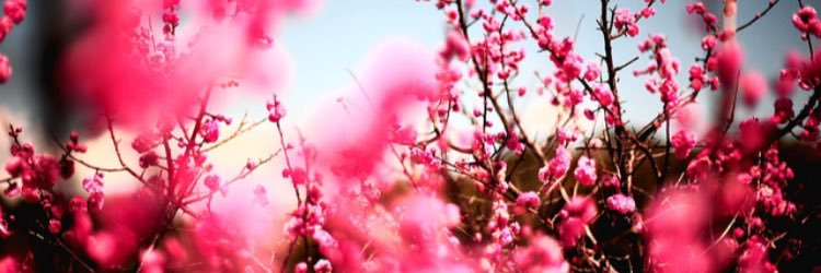 meaghan_rogers's profile banner image
