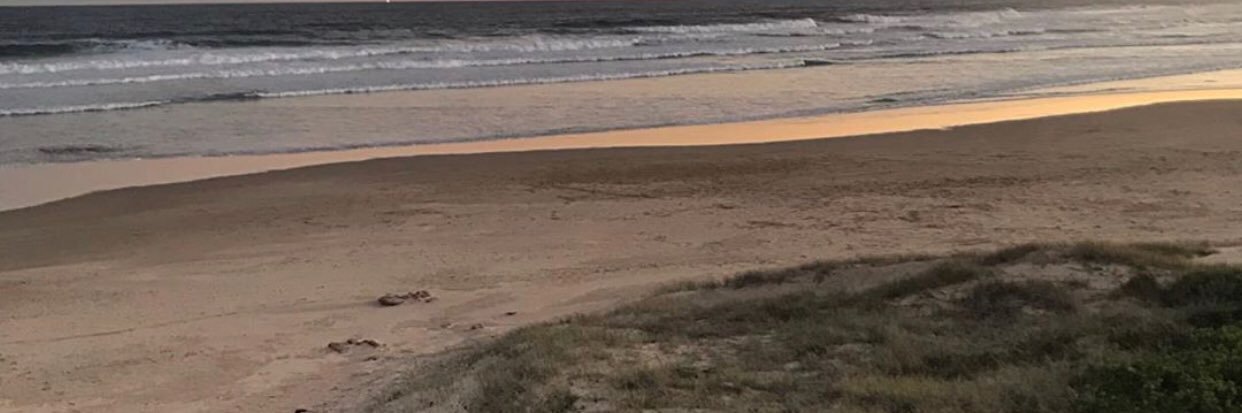 Gingamcfreck's profile banner image