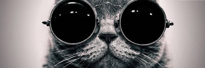 howslothofyou's profile banner image
