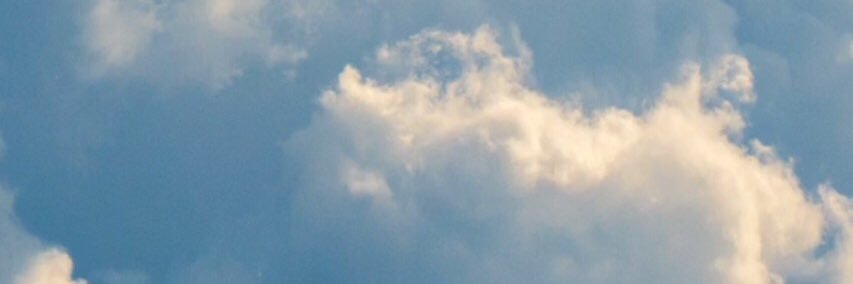 exetercimon's profile banner image