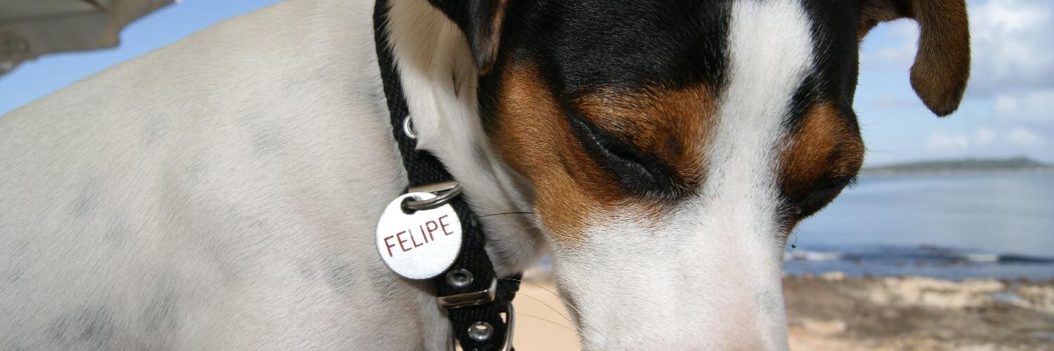 FELIPEguau's profile banner image
