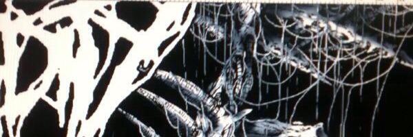 Groove_merch Profile Banner