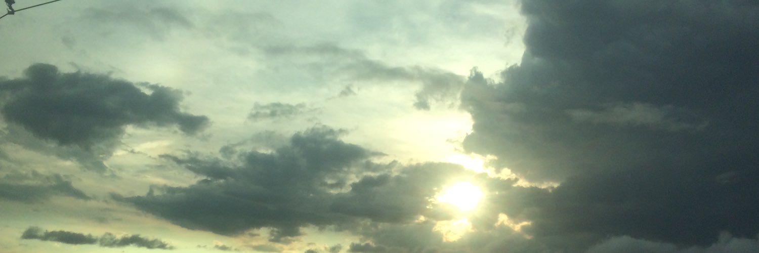 nslotus's profile banner image