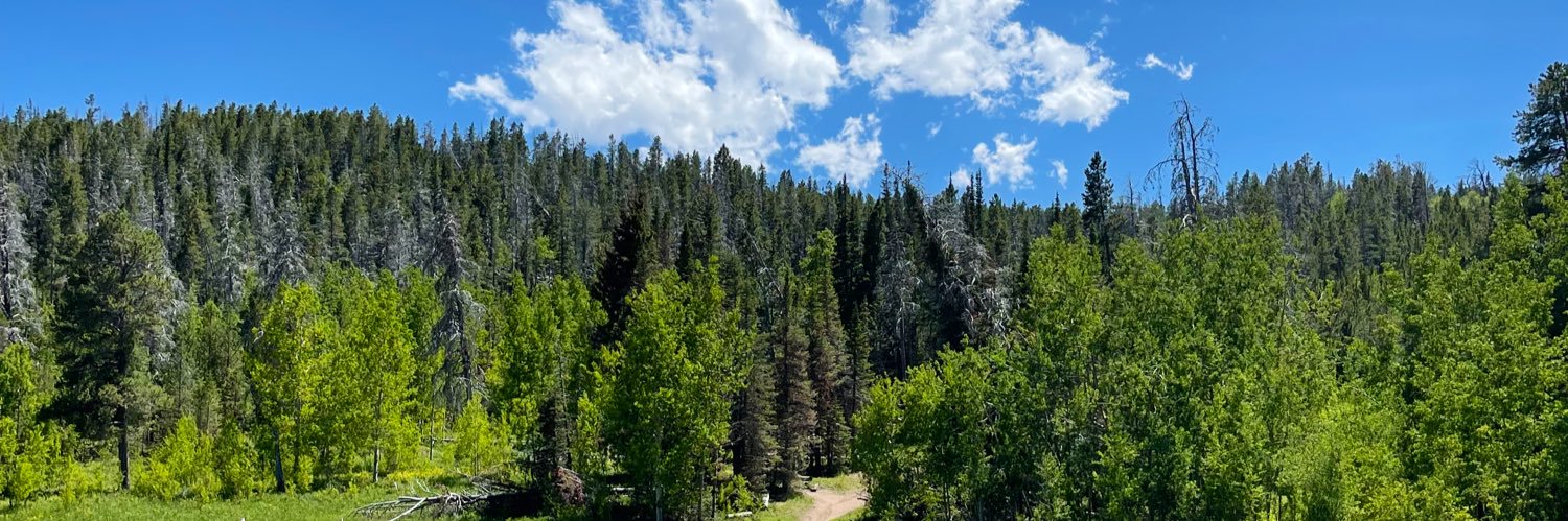 Ryan D Williamson banner