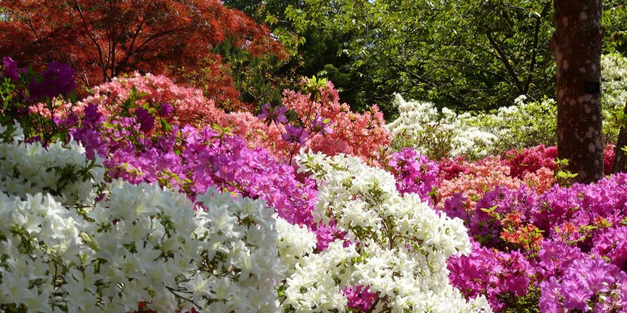 Martin R21🇺🇦 banner