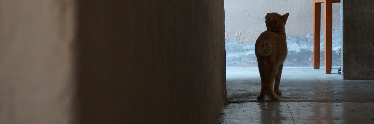 __MariamMoreno's profile banner image