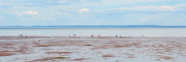 RelaxHFX Profile Banner