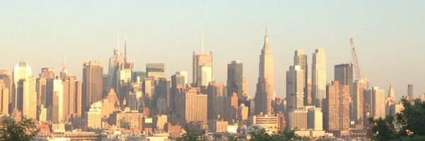 vitospadea Profile Banner