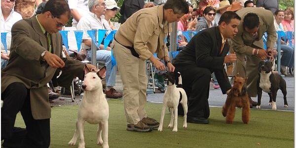 Simon_alvarez75's profile banner image
