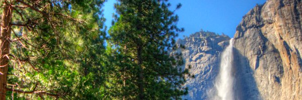 HalbertBai Profile Banner