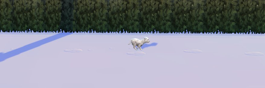 EttaElsa's profile banner image