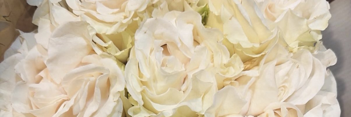 MamiaMuse's profile banner image