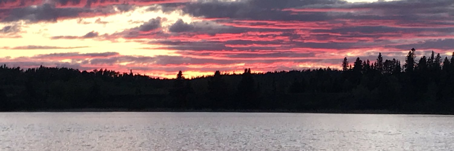 Jill M. Thompson banner