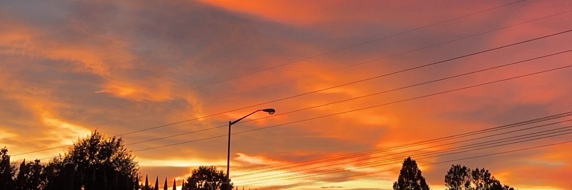 jeannettedew's profile banner image