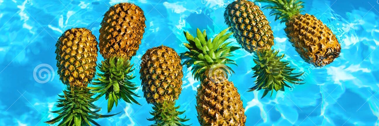 SwingersPar's profile banner image