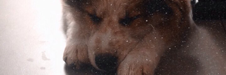 feaatima's profile banner image