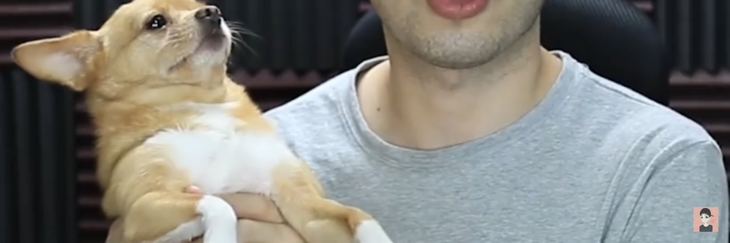 Max_Is_My_Mood's profile banner image