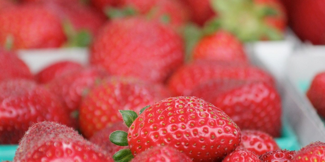 EdibleSkinny's profile banner image