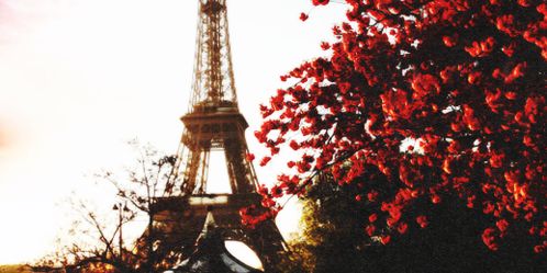 QuinnieFabNY's profile banner image