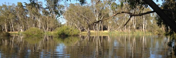 kateellis8 Profile Banner