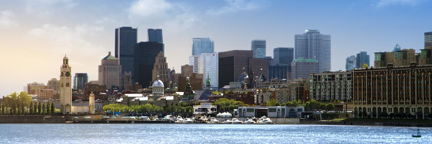 CarolineVanV banner