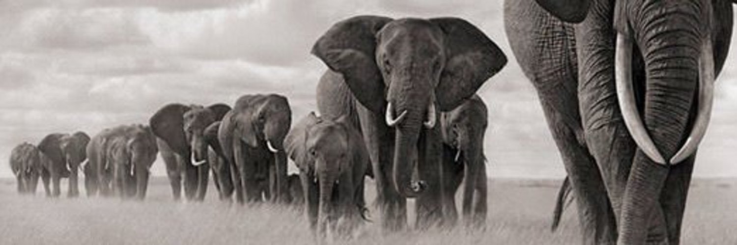 Colin Bloom CBE banner