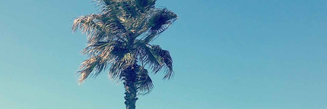 KamilBowski's profile banner image