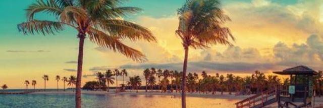 sindy_bi's profile banner image