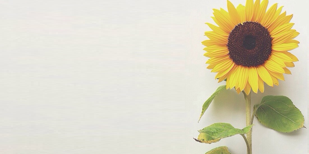 Heble banner