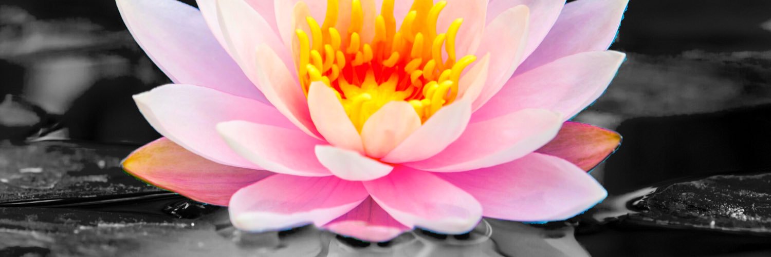 bitpoem's profile banner image