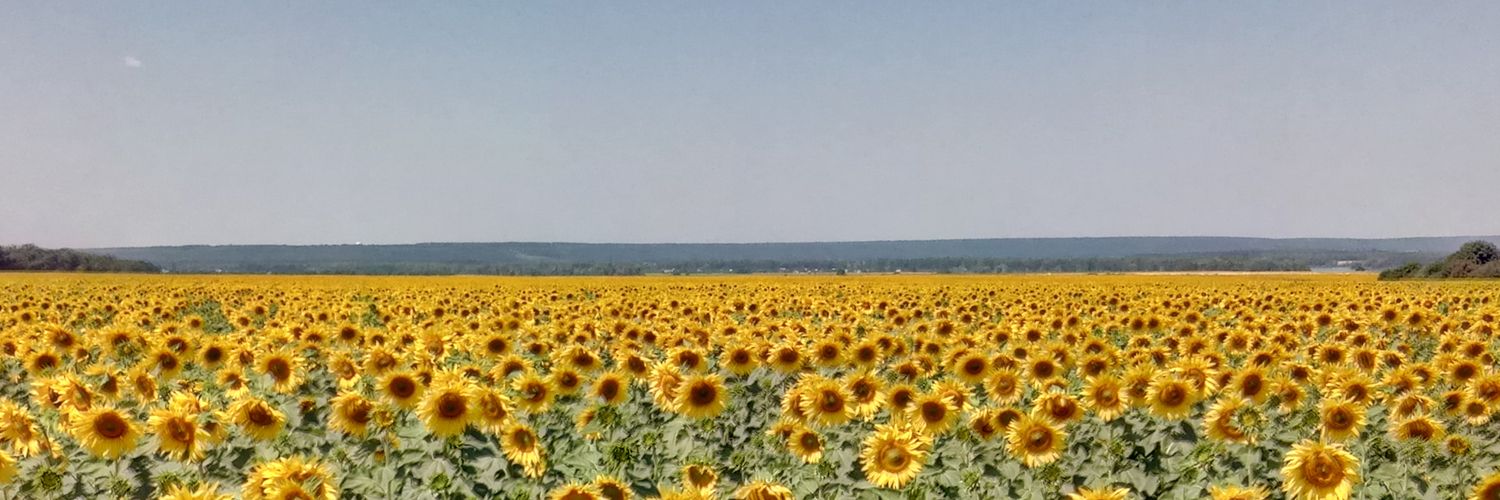 Kescha00's profile banner image