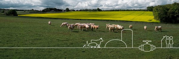 TorbenBrabo Profile Banner