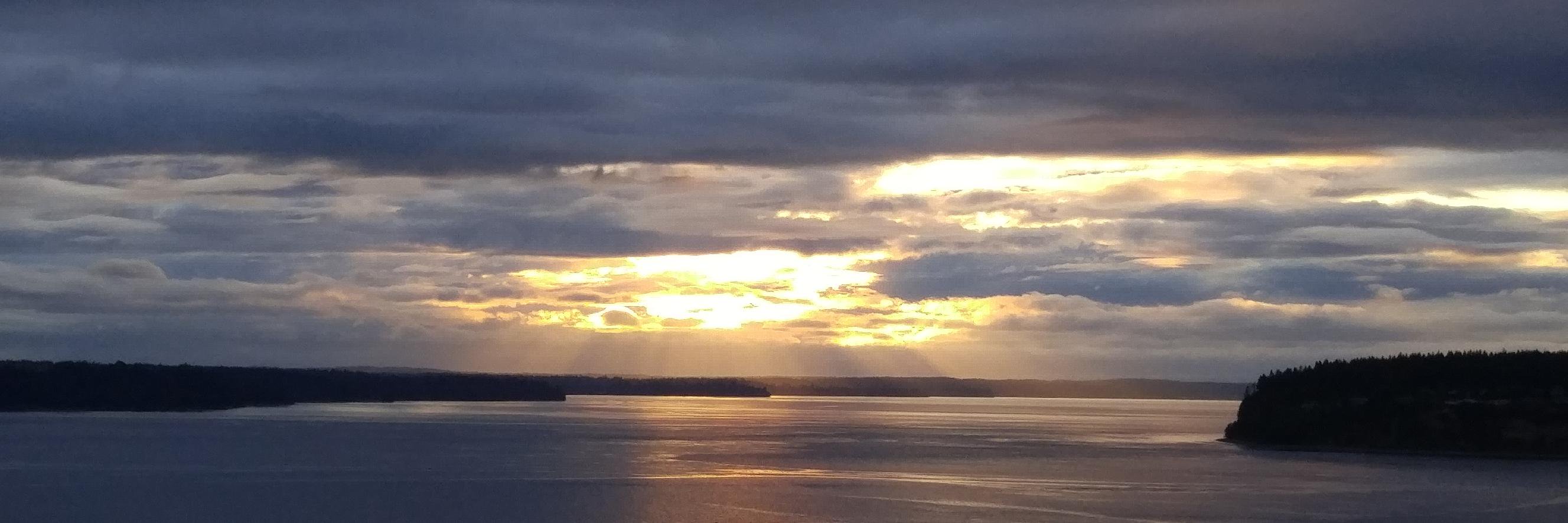 pnwtai's profile banner image