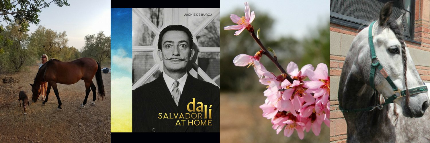 Jackie De Burca banner