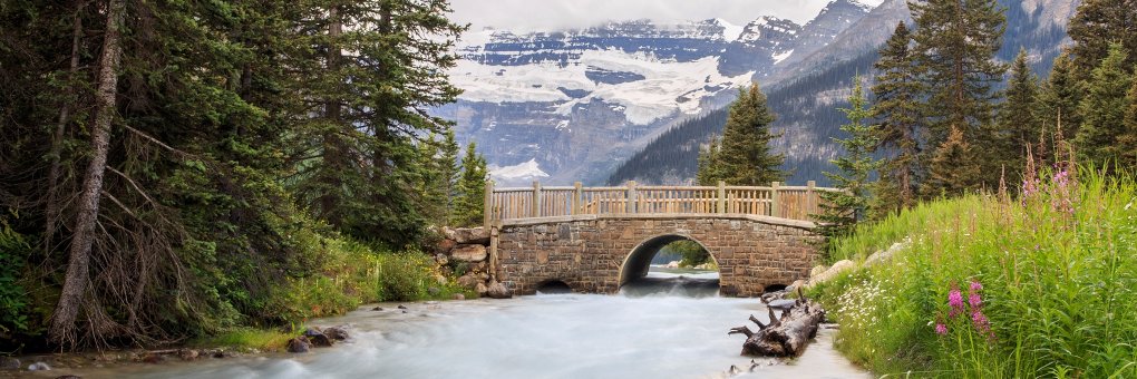 ChiseledLight banner