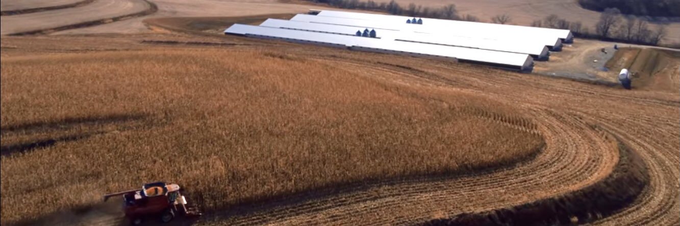 Mike Dickinson banner