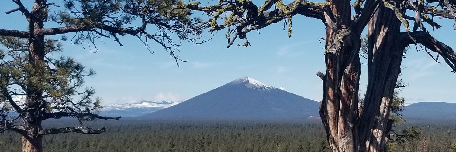 mitchTurpen's profile banner image