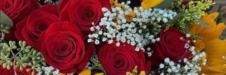 margaritarojasd's profile banner image