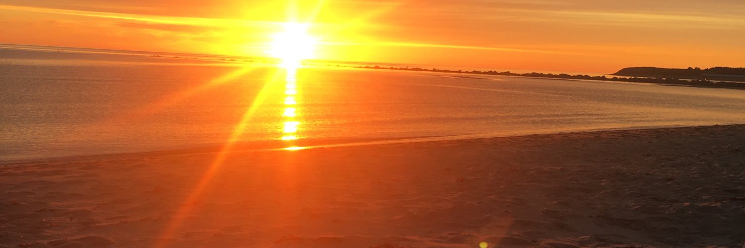 BeltaneMaiden83's profile banner image