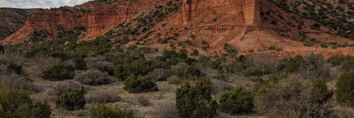 donimariewilson's profile banner image