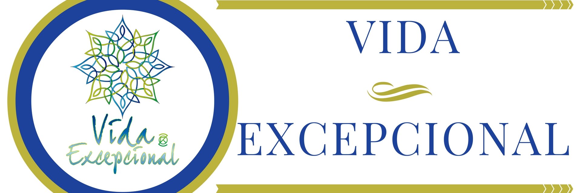 VidaExcepcional's profile banner image