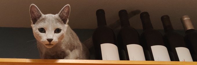 Terry Losansky banner