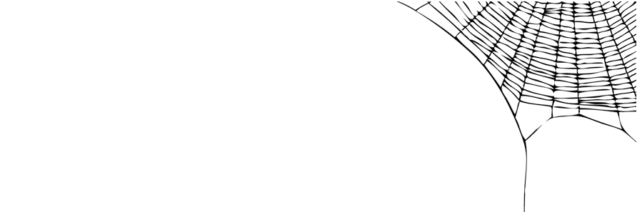 FalseWidow's profile banner image