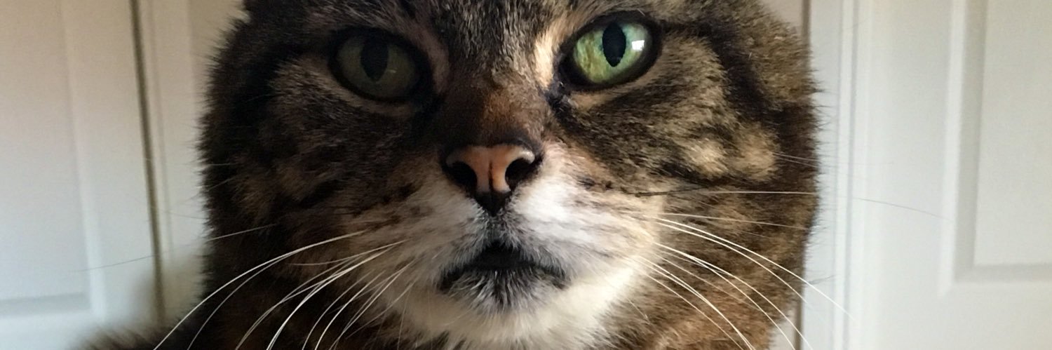 jules_rich69's profile banner image