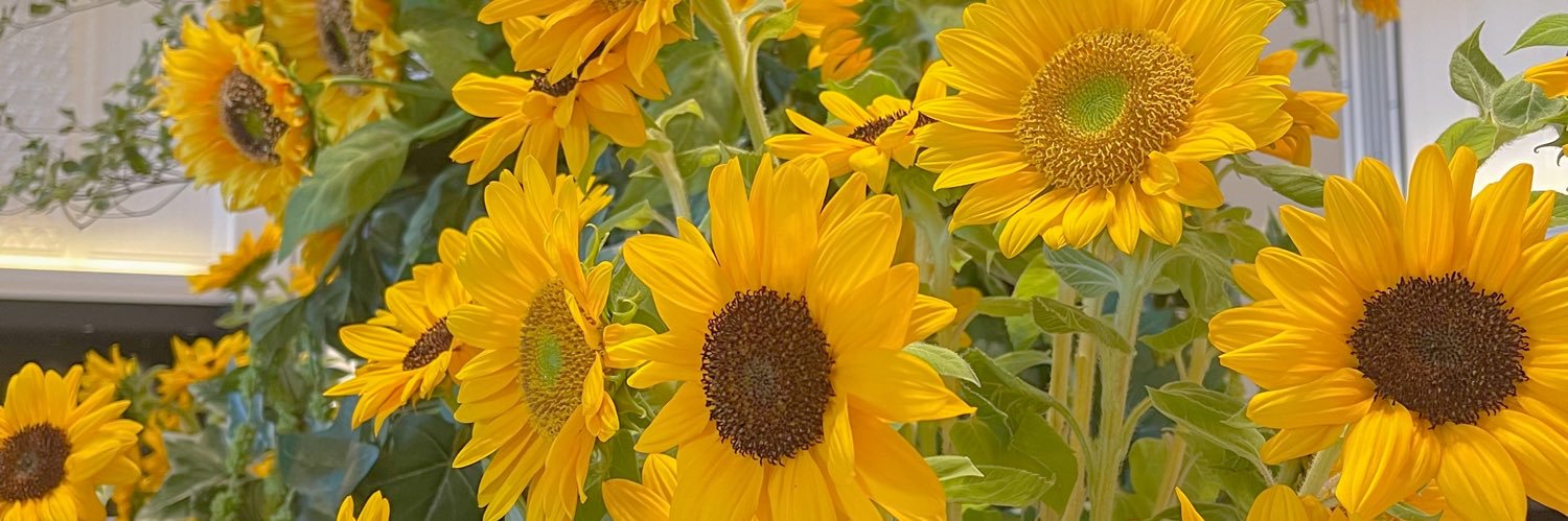 charu__0129's profile banner image
