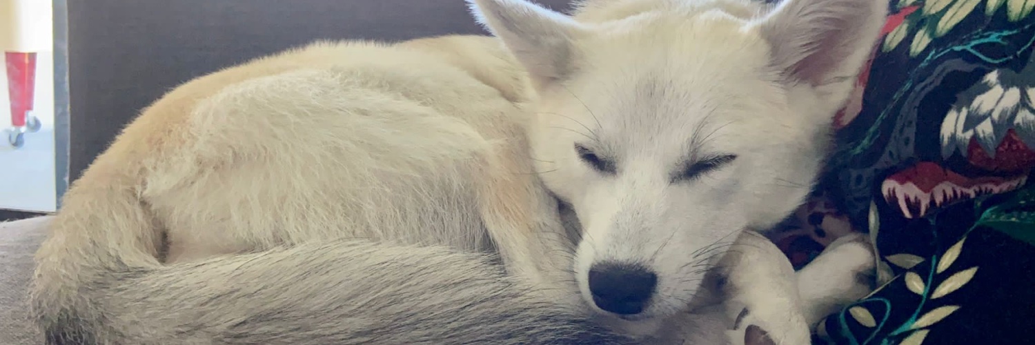 MagnusBGOlsson's profile banner image