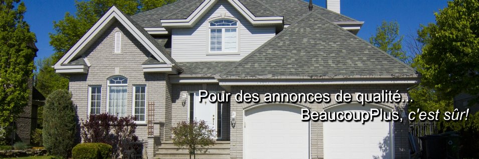 BeaucoupPlus's profile banner image