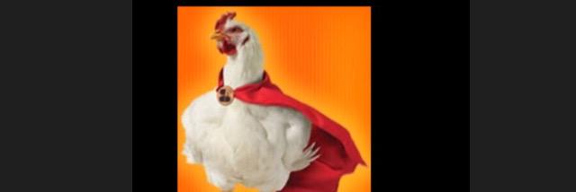 1983POLLO's profile banner image