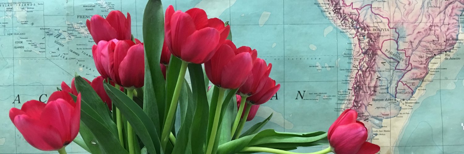 KMart19's profile banner image