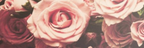 TeganIsFly's profile banner image